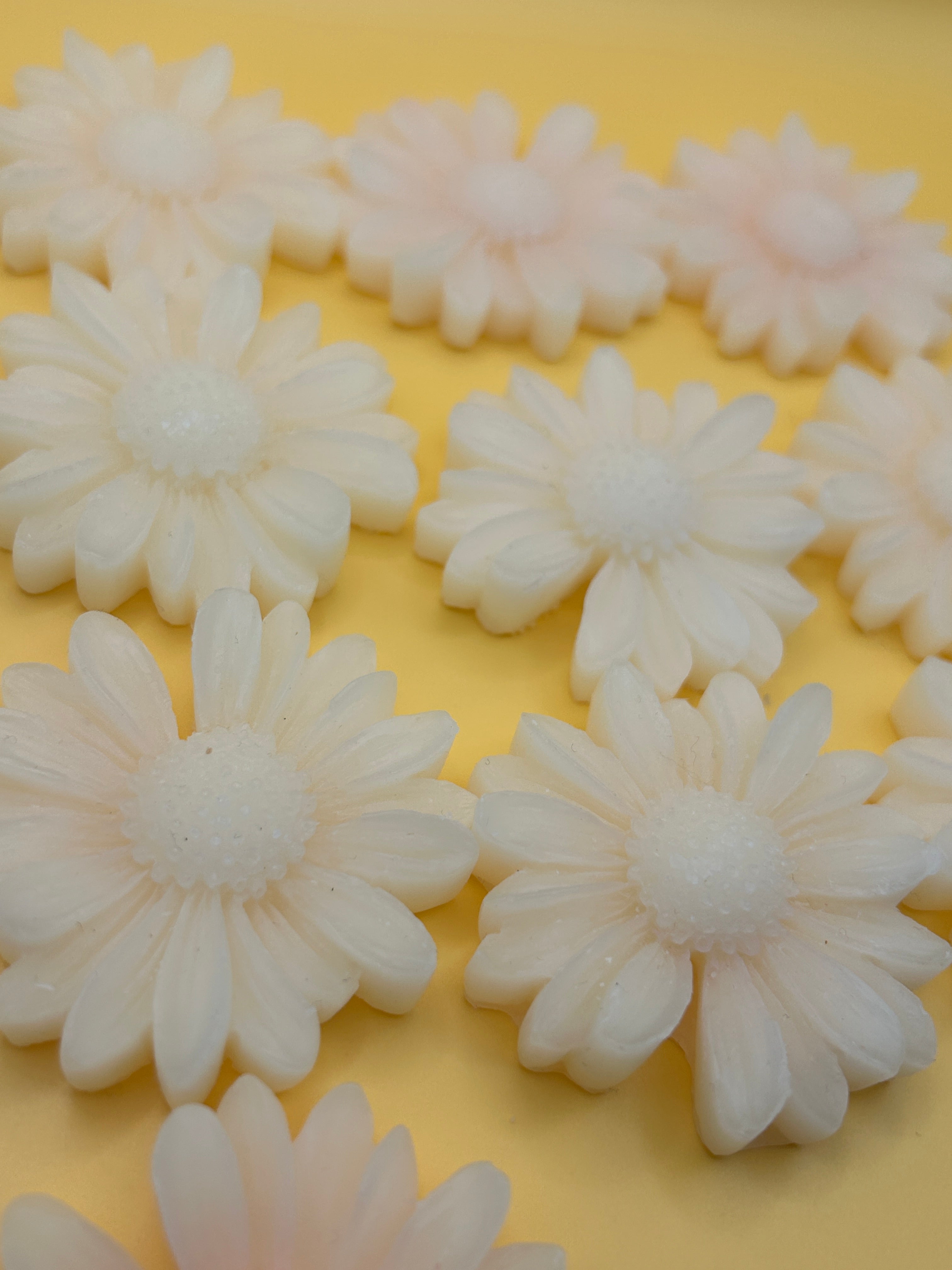 Daisy Beeswax Wax Melts, 6 oz Bags