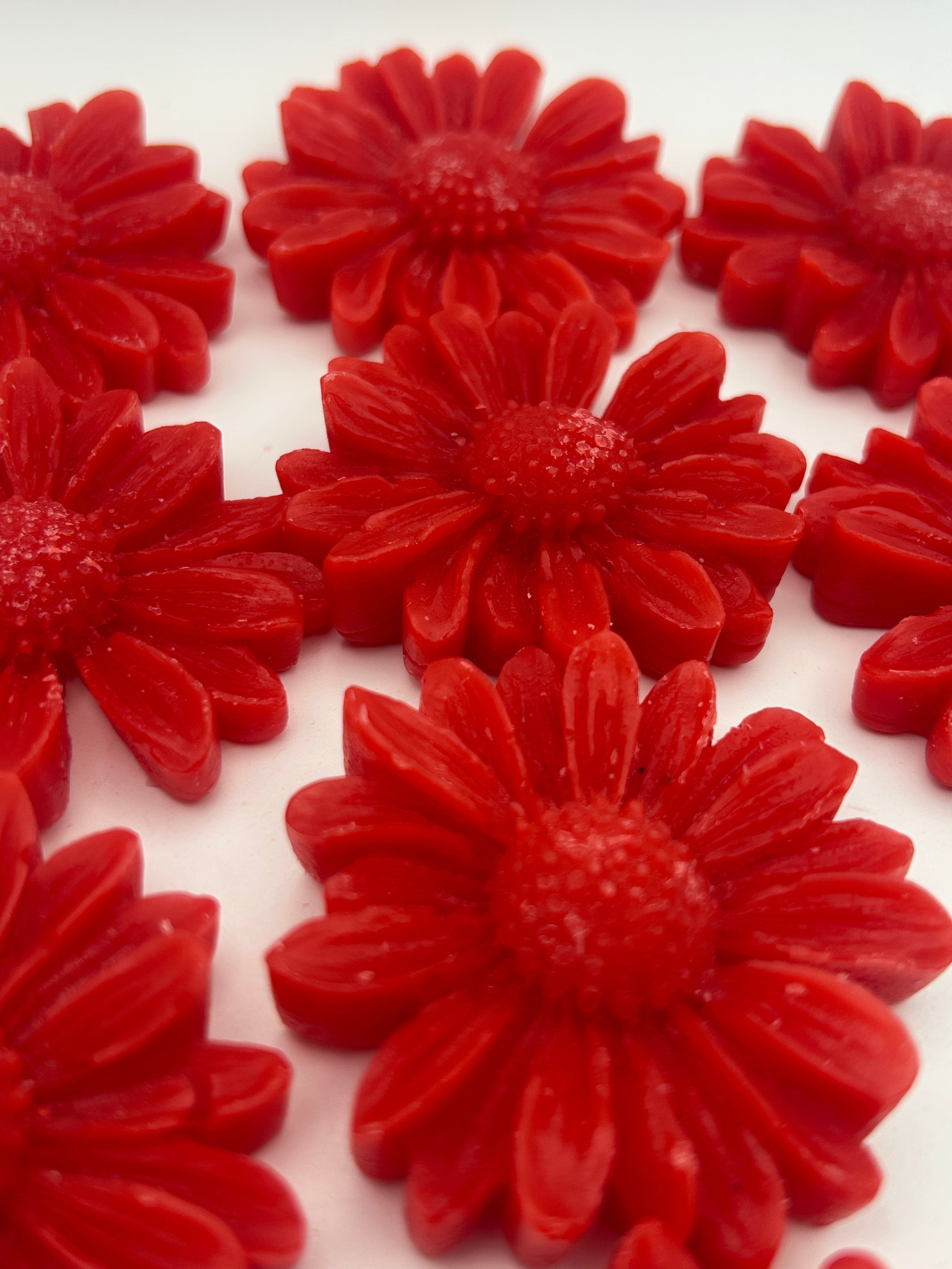 Daisy Beeswax Wax Melts, 6 oz Bags