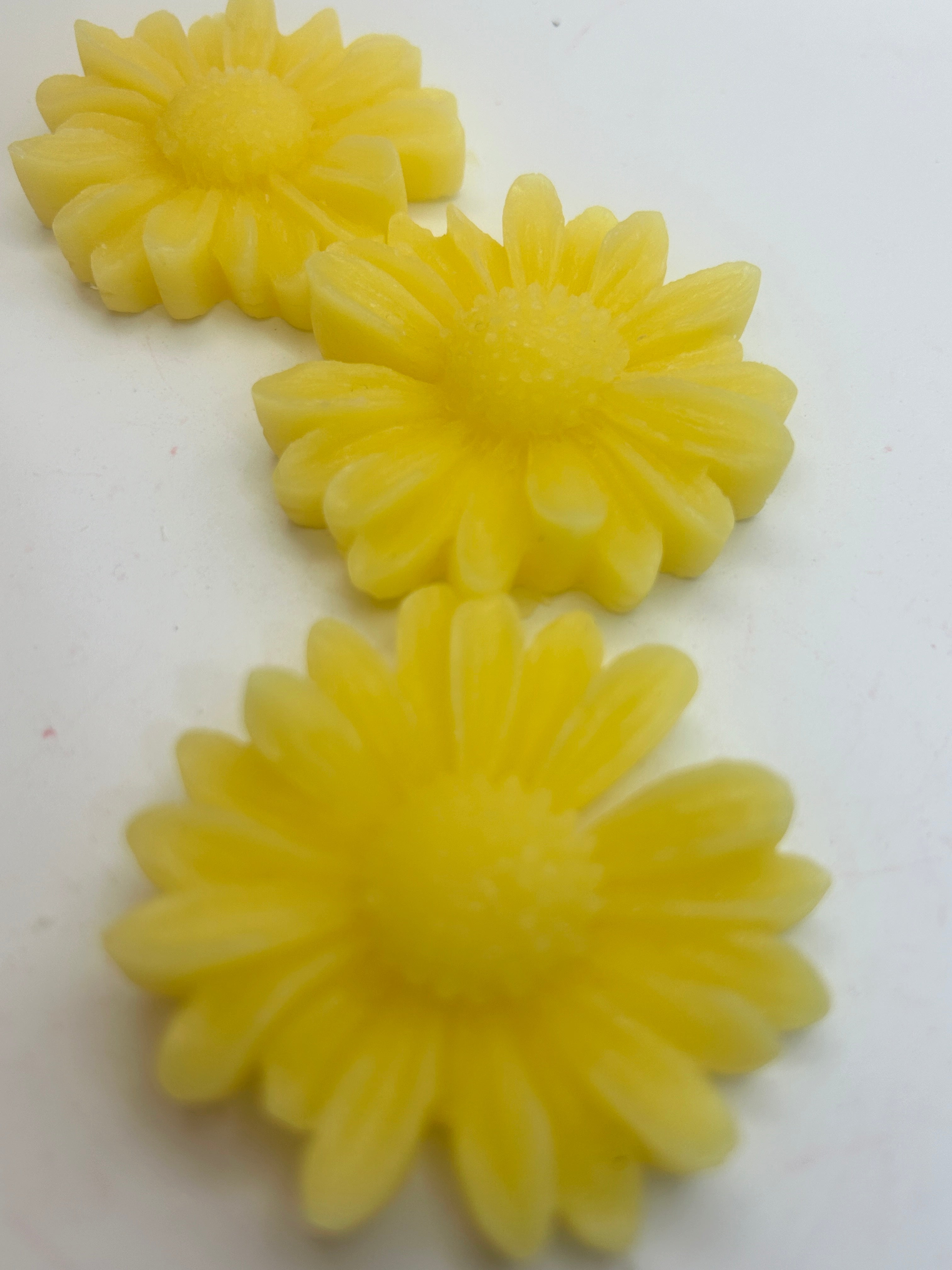 Daisy Beeswax Wax Melts, 6 oz Bags