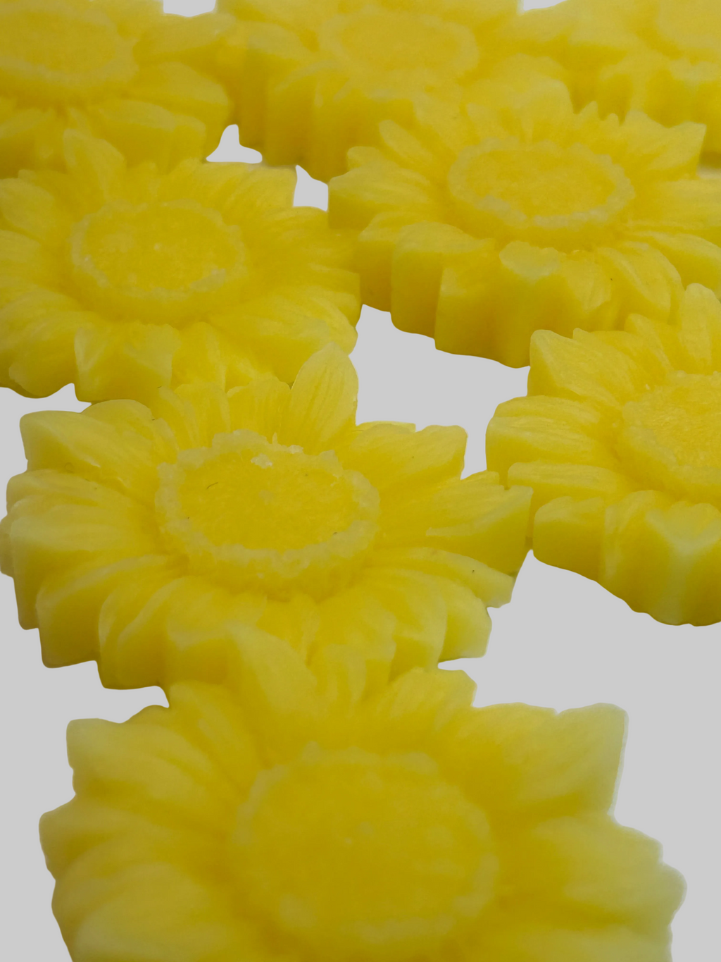 Sunflower Beeswax Wax Melts, 6 oz Bags